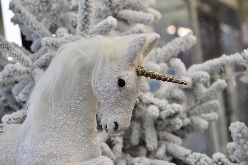 Unicorn's Horn Blossom